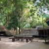Off-The-Beaten-Track: Cu Chi Tunnels Stay Hidden in a Jungle in Suburban Saigon